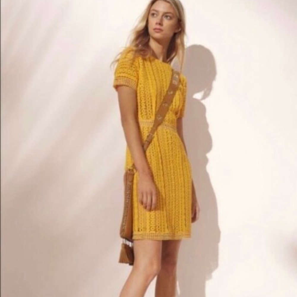 Michael Kors Crochet Dress with slip